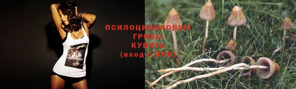 бошки Аркадак