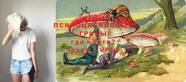 бошки Аркадак