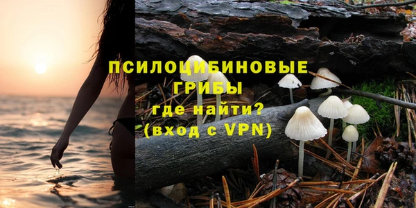 твердый Армянск