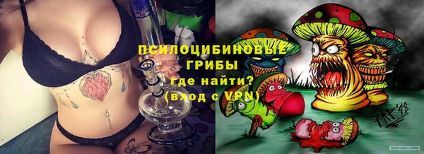 твердый Армянск