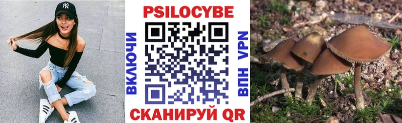 сколько стоит  Городовиковск  Псилоцибиновые грибы Magic Shrooms 